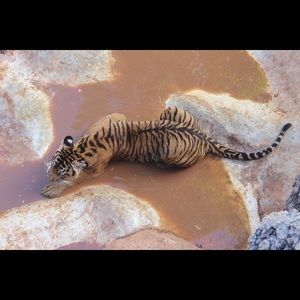 Meet your Posher, Isabel